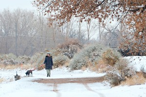 На Москву надвигается первый снег На Москву надвигается первый снег
