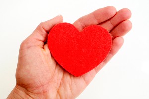 Ученые создали сердце из губки (видео) Ученые создали сердце из губки (видео)