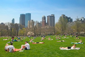 Глобальное потепление уничтожит США Глобальное потепление уничтожит США