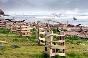 Курильские острова содрогнулись 11 раз Курильские острова содрогнулись 11 раз