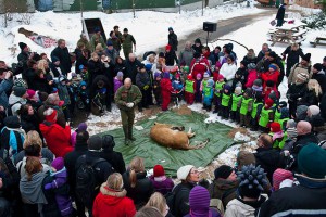 Льва расчленили в присутствии детей Льва расчленили в присутствии детей