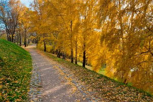 В Москву придет аномальное тепло В Москву придет аномальное тепло
