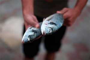 Гигантский лещ пробил крышу дома Гигантский лещ пробил крышу дома