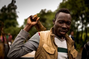 Британия арендует лимузины для беженцев Британия арендует лимузины для беженцев