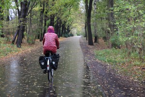 В Москве ожидаются заморозки В Москве ожидаются заморозки