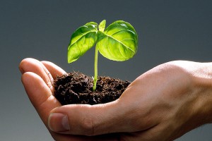 Жизнь на Земле оказалась намного старше Жизнь на Земле оказалась намного старше