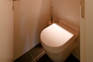 Унитаз пытался "откусить" руку китайца Унитаз пытался "откусить" руку китайца