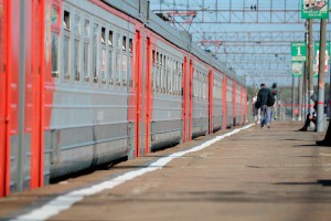 Животных разрешили перевозить в плацкарте Животных разрешили перевозить в плацкарте