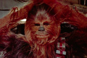 В Одессе в день выборов задержали Чубакку В Одессе в день выборов задержали Чубакку