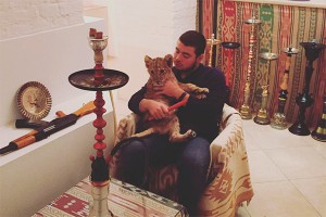 Москвич ходит на работу с львицей Москвич ходит на работу с львицей