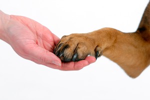 ������� ����� ������ ������ � ����