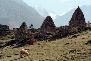 �� ������� ����� ���� ����������� �������