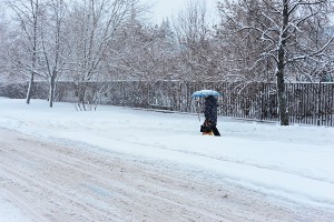 Москву накроет мокрый снег Москву накроет мокрый снег