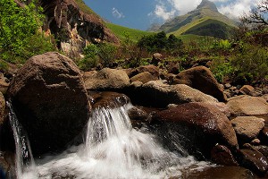 Раскрыта тайна появления воды на Земле Раскрыта тайна появления воды на Земле