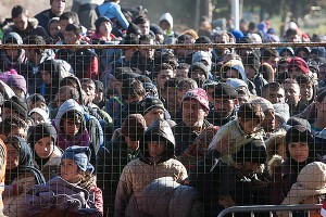 Австрия защитится от мигрантов за два дня Австрия защитится от мигрантов за два дня