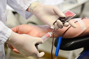 Как французы помогают друг другу после трагедии Как французы помогают друг другу после трагедии