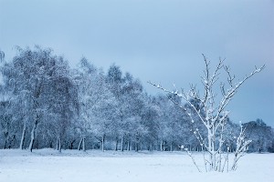 Землю ждут 30 холодных зим Землю ждут 30 холодных зим