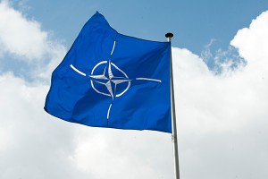 НАТО отказало Украине в поддержке НАТО отказало Украине в поддержке