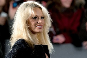 Андерсон едет в Кремль поговорить о кошках Андерсон едет в Кремль поговорить о кошках