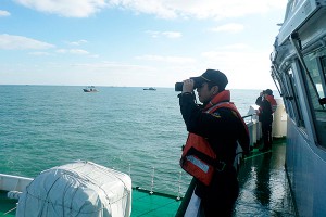 В Японию приплыло 11 лодок с трупами В Японию приплыло 11 лодок с трупами