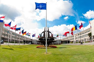 Часть НАТО встала на сторону России Часть НАТО встала на сторону России