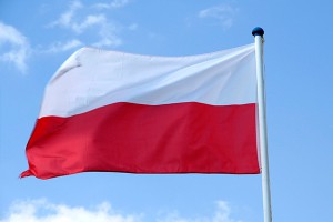 Польша просит НАТО дать ей ядерное оружие Польша просит НАТО дать ей ядерное оружие