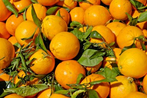 Сирия заменит Турцию на российском рынке Сирия заменит Турцию на российском рынке