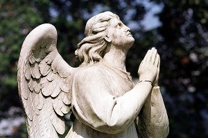 На кладбищах Москвы будет бесплатный Wi-Fi На кладбищах Москвы будет бесплатный Wi-Fi