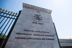 ВТО попала в критическую ситуацию ВТО попала в критическую ситуацию