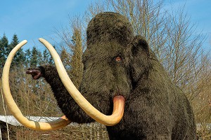 Ученые хотят заселить Сибирь мамонтами Ученые хотят заселить Сибирь мамонтами