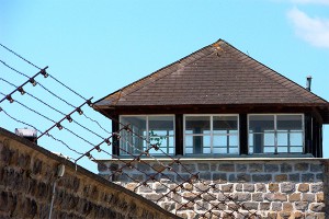 В США по ошибке отпустили 3 тыс. заключенных В США по ошибке отпустили 3 тыс. заключенных