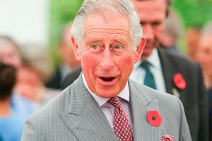 Принцу Чарльзу можно бросать ядерные бомбы Принцу Чарльзу можно бросать ядерные бомбы