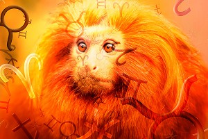 Антинаучные предсказания на 2016 год Антинаучные предсказания на 2016 год