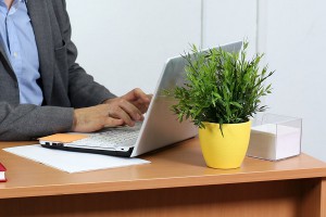 В США адмирал смотрел порно на работе В США адмирал смотрел порно на работе