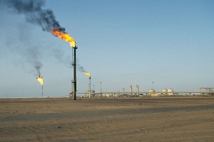 Ирак предсказал судьбу нефти Ирак предсказал судьбу нефти