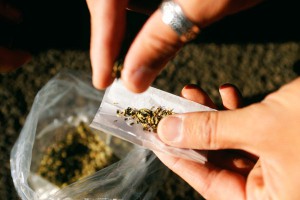 На биржу вышел дилер марихуаны На биржу вышел дилер марихуаны