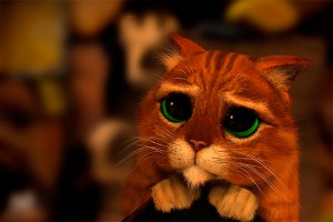 Кот наркотороговца умилил оперативников Кот наркотороговца умилил оперативников