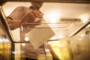 Праймериз открывают молодым путь в политику Праймериз открывают молодым путь в политику