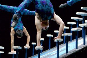 Глава "Росгосцирка" поддержал идею о СРО Глава "Росгосцирка" поддержал идею о СРО