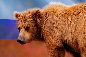 МИД намекнул на интим генерала НАТО с медведем МИД намекнул на интим генерала НАТО с медведем