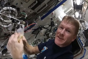 Астронавт приготовил яичницу в космосе Астронавт приготовил яичницу в космосе