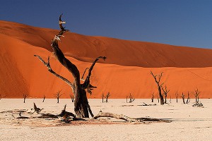 Ученые: 2016 год будет самым жарким на Земле Ученые: 2016 год будет самым жарким на Земле