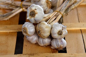 В Москве чеснок подорожал до двух тысяч В Москве чеснок подорожал до двух тысяч