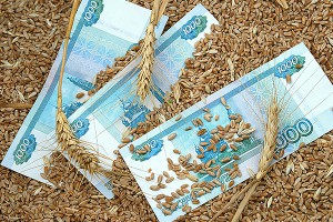 Россия пшеницей загнала США в угол Россия пшеницей загнала США в угол