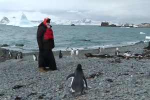 Патриарх Кирилл пришел в гости к пингвинам Патриарх Кирилл пришел в гости к пингвинам