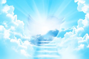 "Бог" ушел из Twitter "Бог" ушел из Twitter