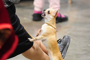 Отец убитой девочки обратился с просьбой Отец убитой девочки обратился с просьбой