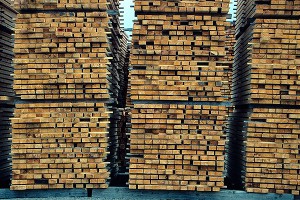 Народу предложили раздать дерево Народу предложили раздать дерево