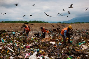 России грозит экологическая катастрофа России грозит экологическая катастрофа