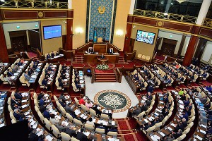 Самороспуск как лекарство от кризиса Самороспуск как лекарство от кризиса